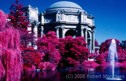 Color Infrared -  Palace of Fine Arts 2 